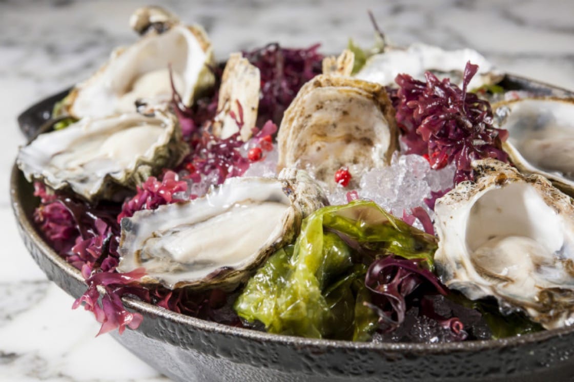 原产自日本的熊本kumamoto生蚝目前多产于美国.